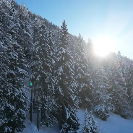 Arrabona Appartement