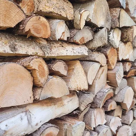 Arrabona Obergesteln